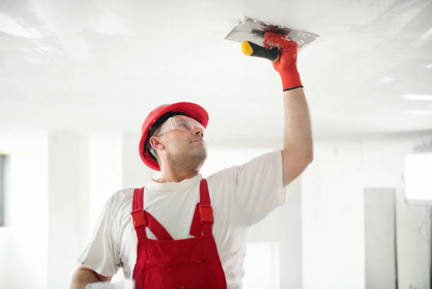 Environmental Consulting for Mold Prevention in Centreville, MS