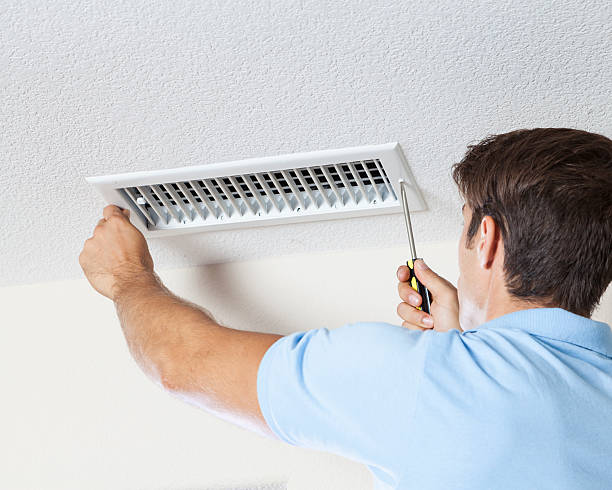 Best Crawl Space Mold Remediation  in Centreville, MS