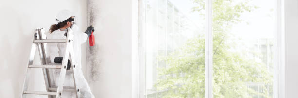 Best HVAC Mold Inspection and Cleaning  in Centreville, MS