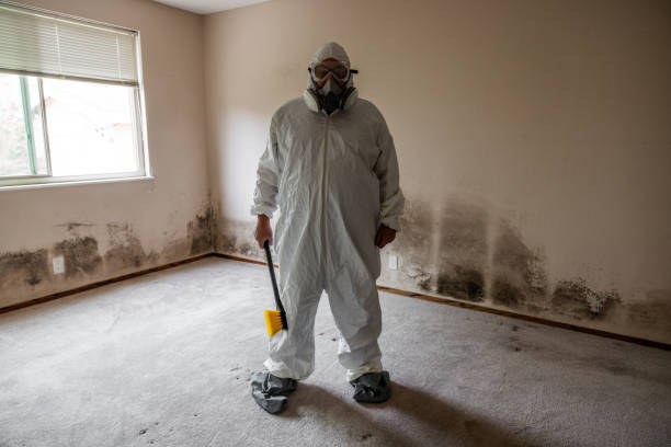 Best Emergency Mold Remediation  in Centreville, MS