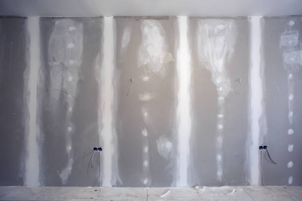 Best Mold Documentation for Insurance Claims  in Centreville, MS